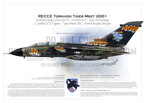 2. Squadron TactLwWing (TRW) 51 Schleswig - Tornado RECCE 44+65 Tiger Meet 2001 Kleine Brogel