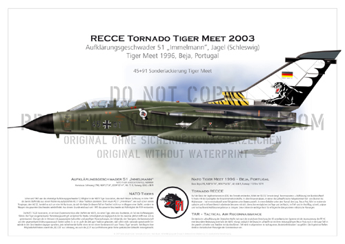 Recce Wing (RW) 51 Schleswig - Tornado RECCE 45+91 Tiger Meet 1996, Portugal