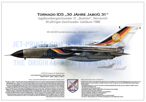 FBW 31 Tornado IDS 44+00 30 years FBW 31 Special Paint