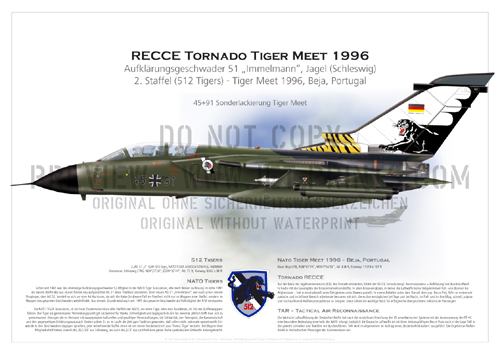 2nd Squadron Tact. Recce Wing (RW) 51 Schleswig - Tornado RECCE 45+91 Tiger Meet 1996  Portugal