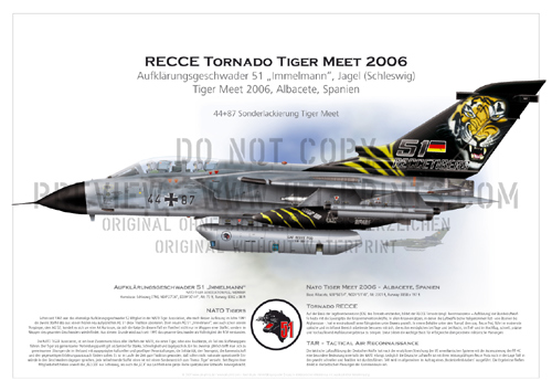 TactLwWing (TRW) 51 Schleswig - Tornado RECCE 44+87 Tiger Meet 2006, Albacete