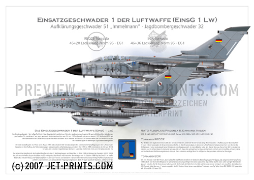 Combat Wing 1 Tornado ECR + RECCE Norm 95