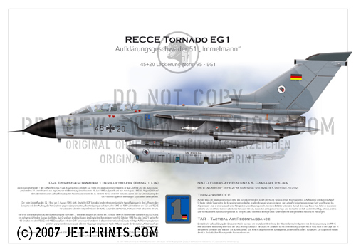 Combat Wing 1 Tornado RECCE 45+20 Norm 95
