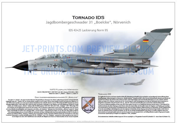 FBW 31 Tornado IDS 43+25 Norm 95