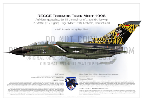 2nd Squadron TactLwWing (TRW) 51 Schleswig - Tornado RECCE 45+93 Tiger Meet 1998 Lechfeld