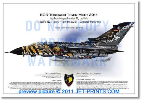 Lechfeld 321 Tigers Tornado ECR 46+33 Tiger Meet 2011